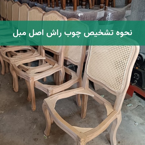 نحوه تشخیص چوب راش اصل مبل